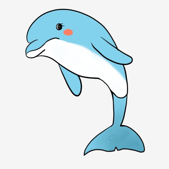  Dolphin PNG 