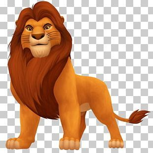 Lion King Simba PNG