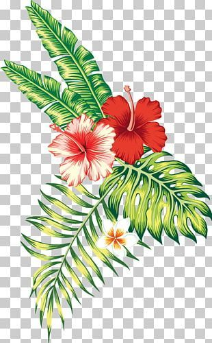 Aesthetic Flower PNG