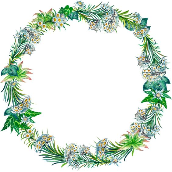 Greenery Wreath PNG
